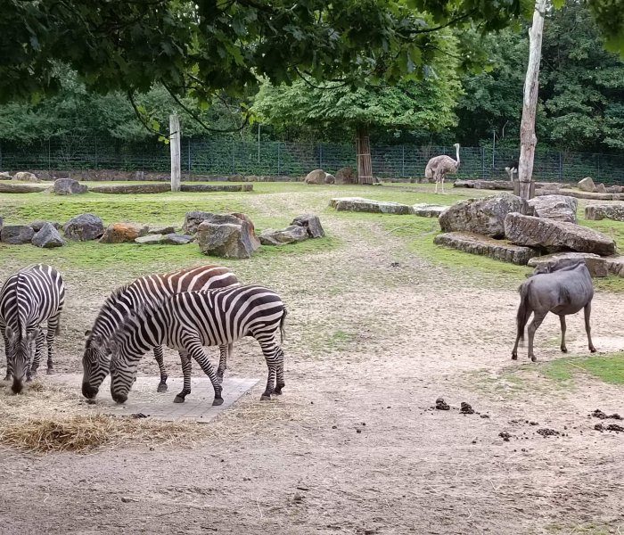 Local destination Allwetterzoo Münster in Münster 