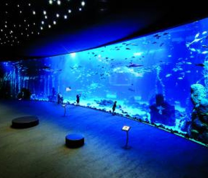 Aquarium Poema del Mar