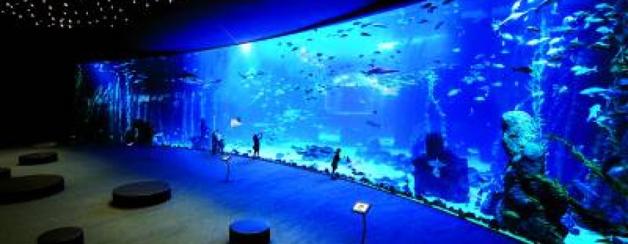 Aquarium Poema del Mar