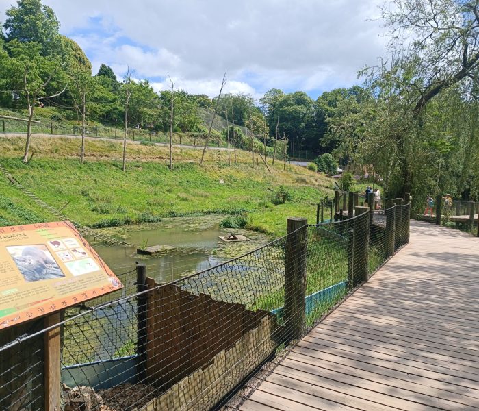 Cerza Parc loutre