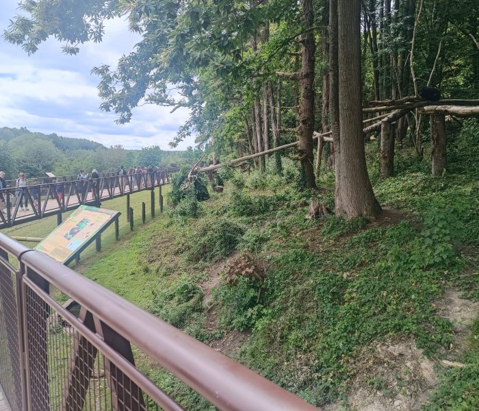 Cerza Parc ours
