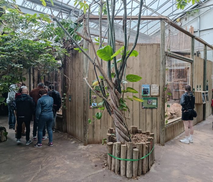Cerza Parc terrarium