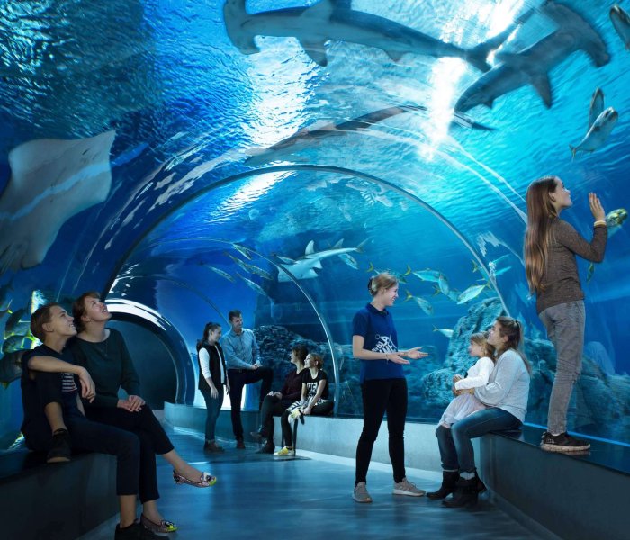 Den Blaa Planet Aquarium