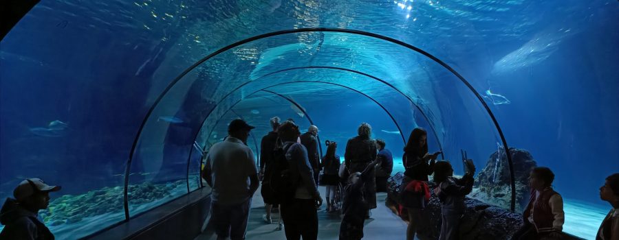 Diergaarde Blijdorp aquarium