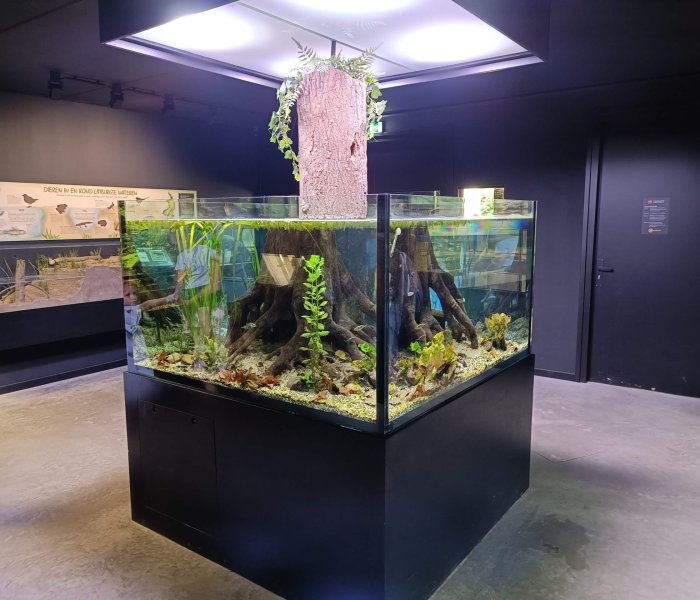 Gaiazoo Kerkrade aquarium