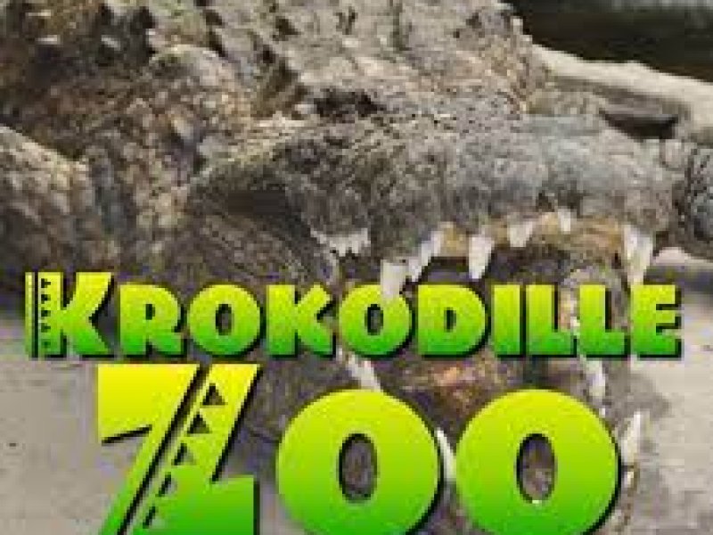 Krokodille Zoo