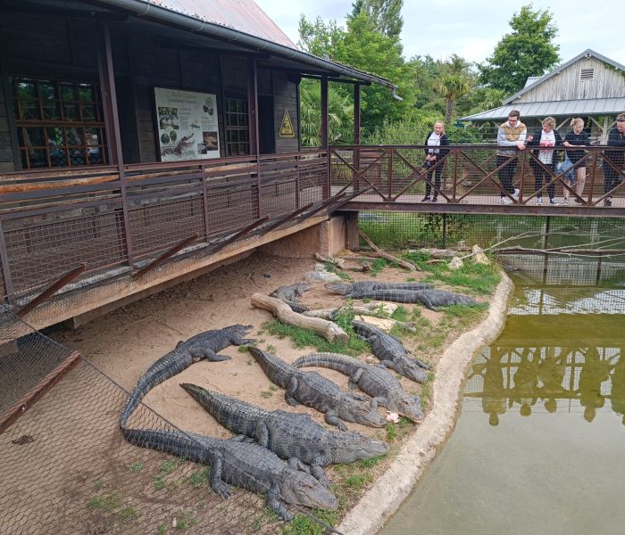 LE PAL crocodilles