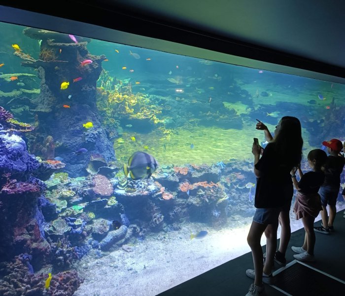 Nausicaa aquarium