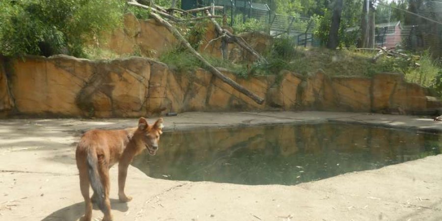 Neunkircher Zoo