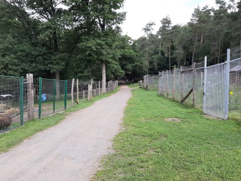 Parc à Gibier de La Roche en Ardenne to the forest