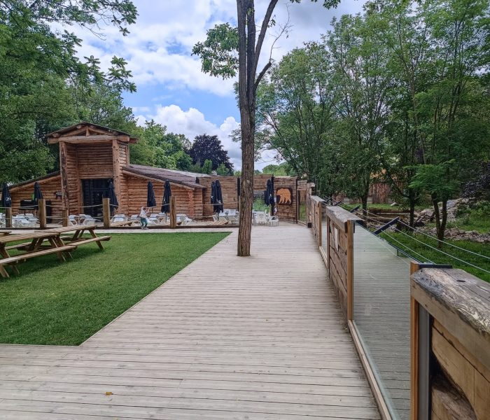 Parc de l'Auxois ours