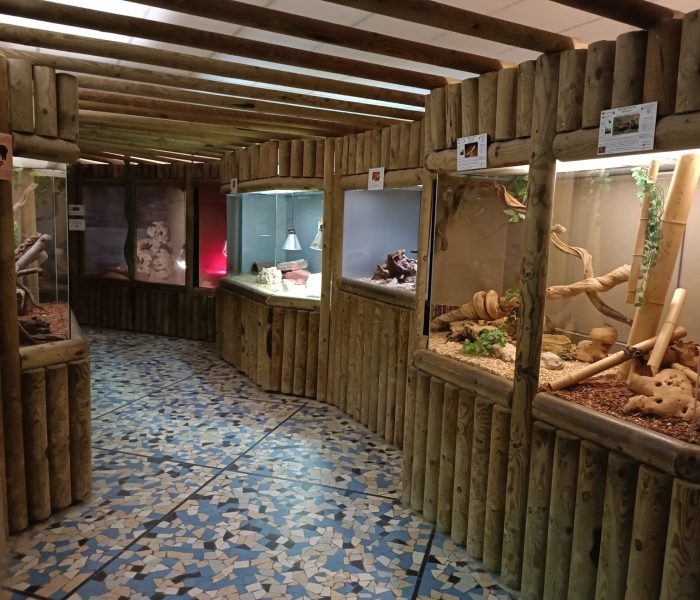 Parc de l'Auxois reptiles