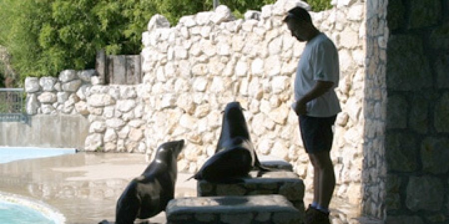 Parco Zoo Punta Verde