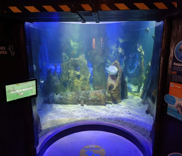Sea Life Blankenberge Fish Tank