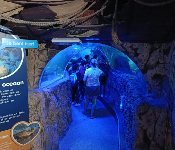 Sea Life Blankenberge Fish Tunnel