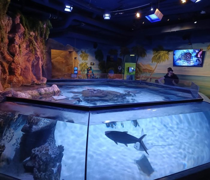 Sea Life Hannover fish tank