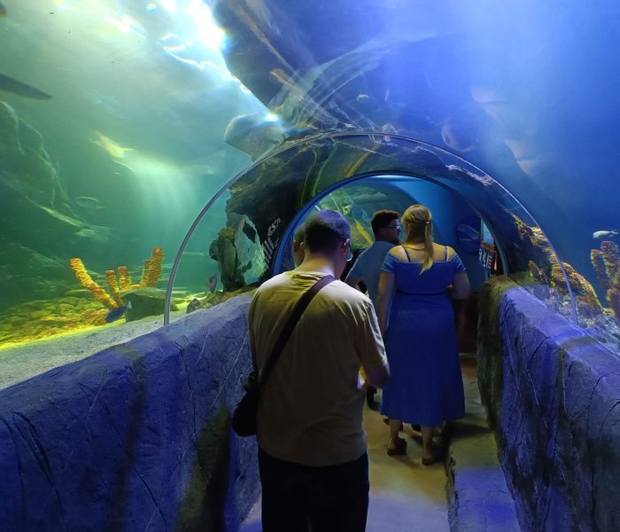 Sea Life Oberhausen tunnel