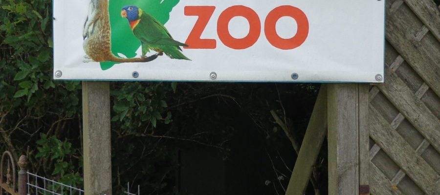 Texel-Zoo-scaled