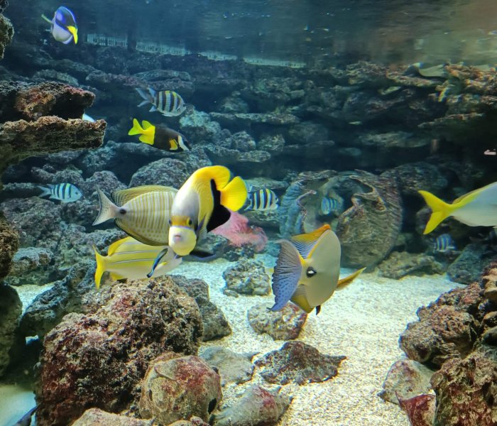 Zoo Duisburg Aquarium