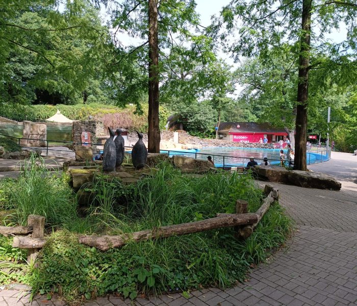 Zoo Duisburg zeeleeuwen