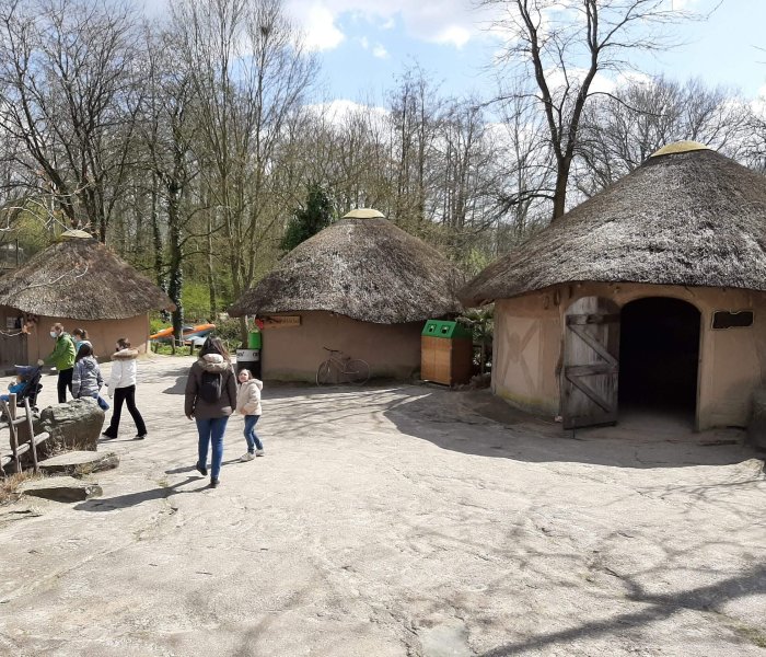 Zoo Planckendael bonobo village