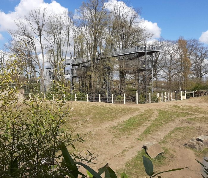 Zoo Planckendael tower
