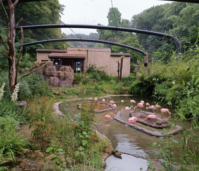 Zoo Wuppertal ara volière