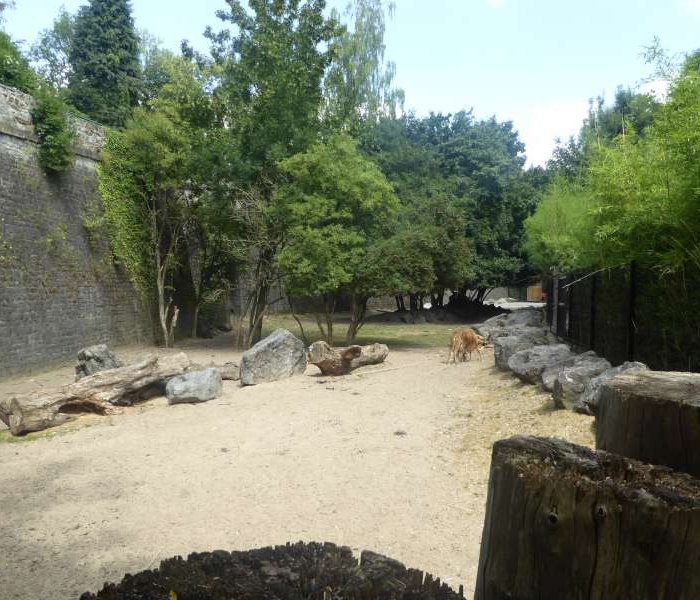 Zoo de Maubeuge dieren