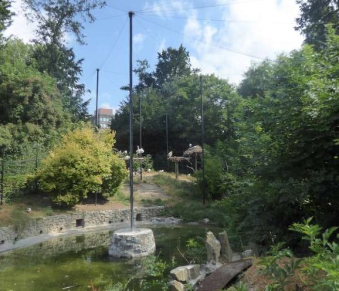Zoo de Maubeuge volière