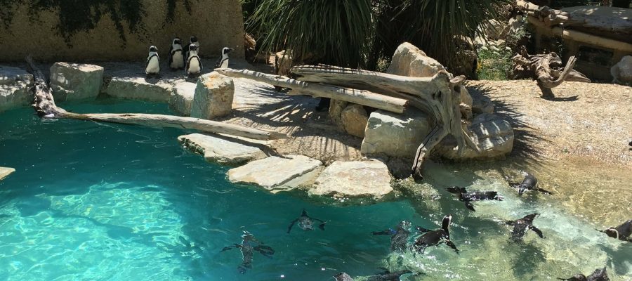 Zoo di Pistoia