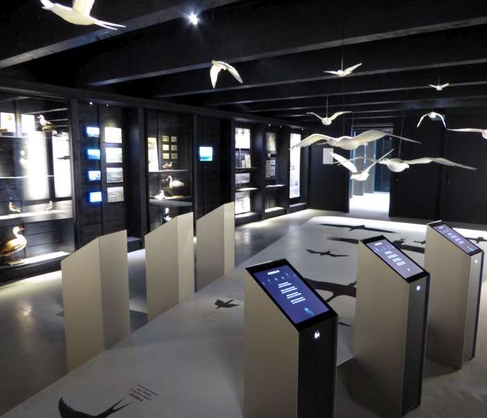 Interactief Museum Zwin