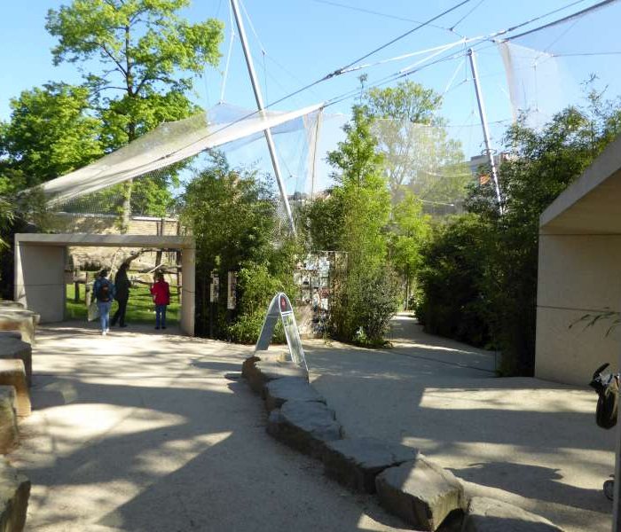 Mensapenvallei Zoo Antwerpen