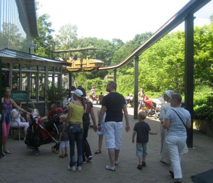 Monorail Ouwehands Dierenpark Rhenen 800