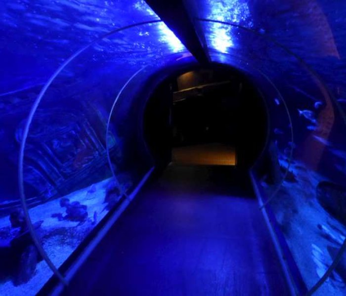 onderwater_tunnel__Sea_Life_Val_dEurope