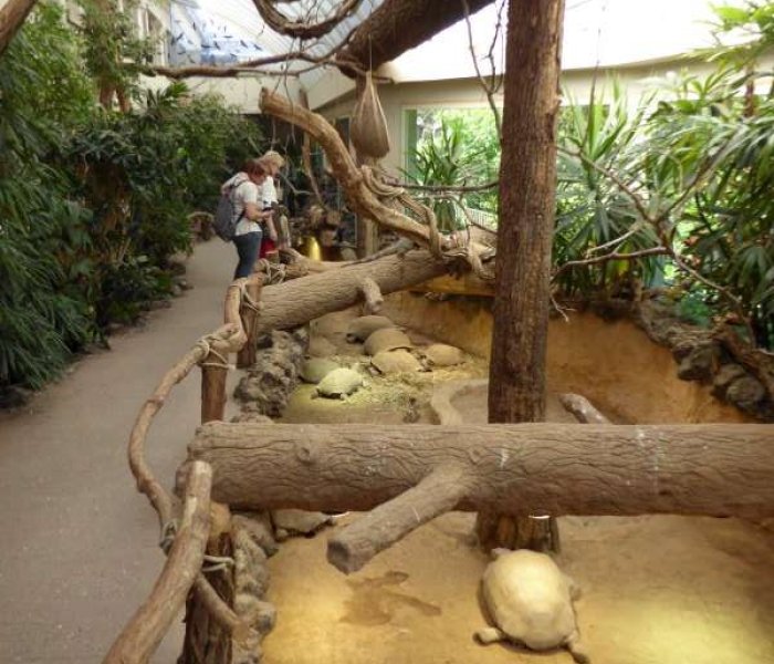 Reptielen Vrij Zoo Antwerpen2