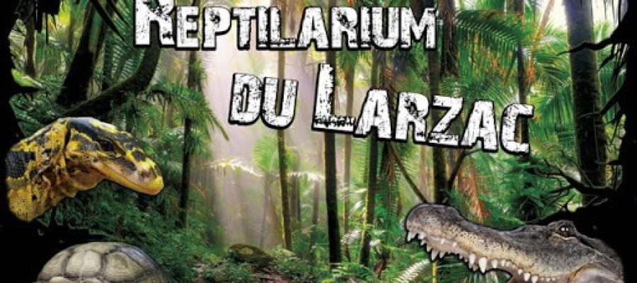 reptilarium_du_larzac